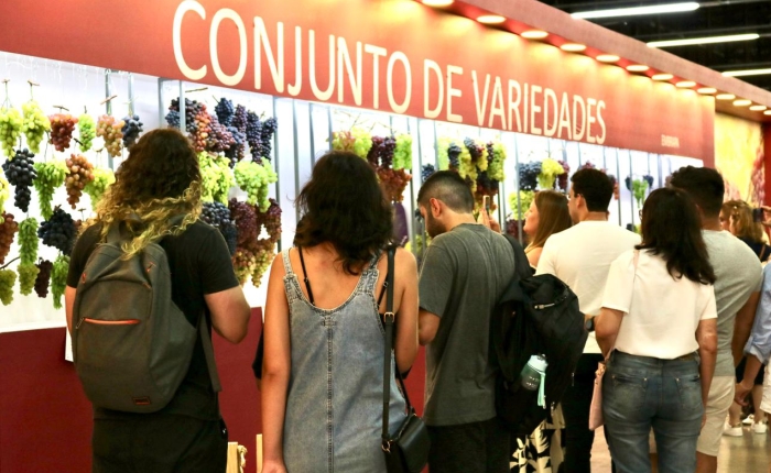 Festa da Uva 2026 tem 80% dos espaços vendidos